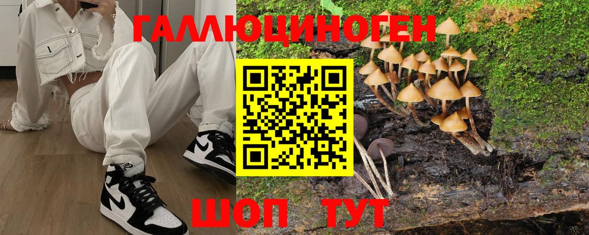 Назрань  Галлюциногенные грибы GOLDEN TEACHER  Вход с VPN 